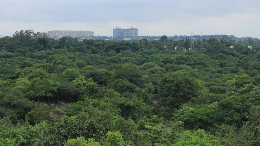 Telangana Forest News